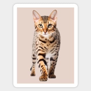 Bengal Breed Cat Dad Mom Leopard Print Spots Magnet